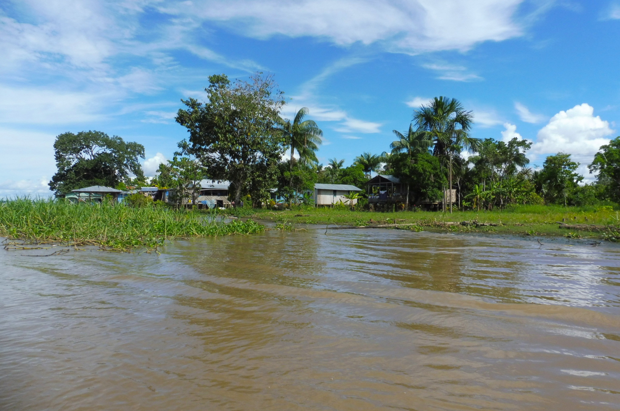 Welcome to the Jungle: The Amazonas, one of my biggest adventures ...