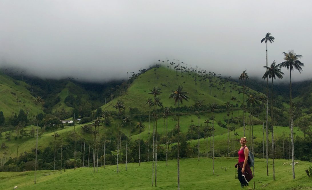 Valle de Cocora Salento Colombia